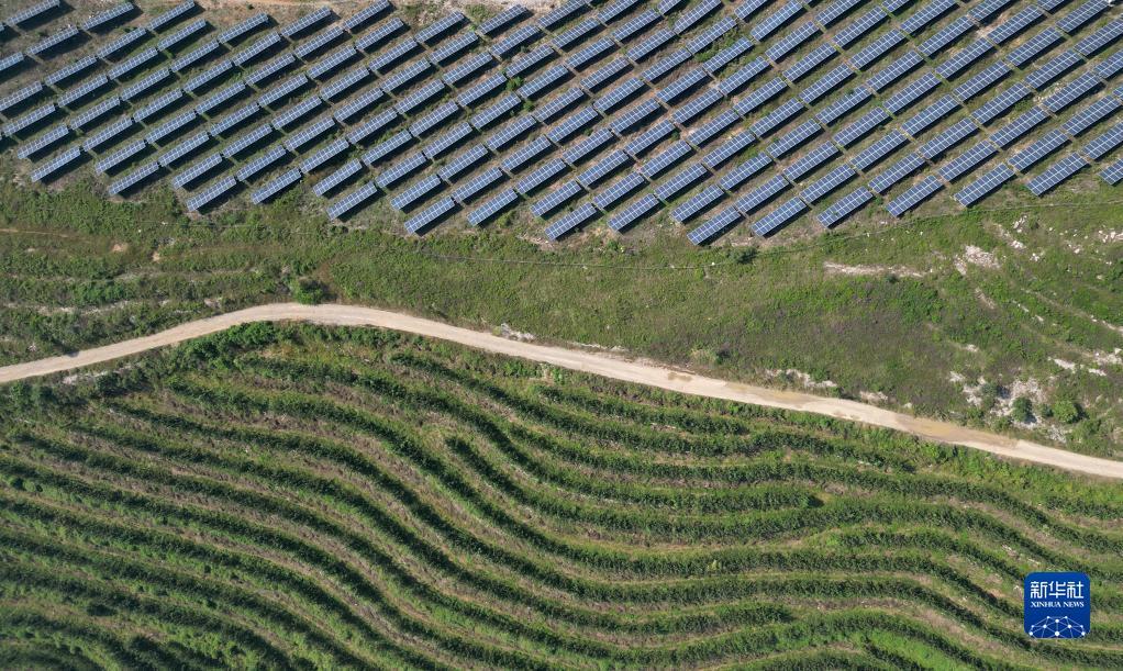 ag8游戏登陆